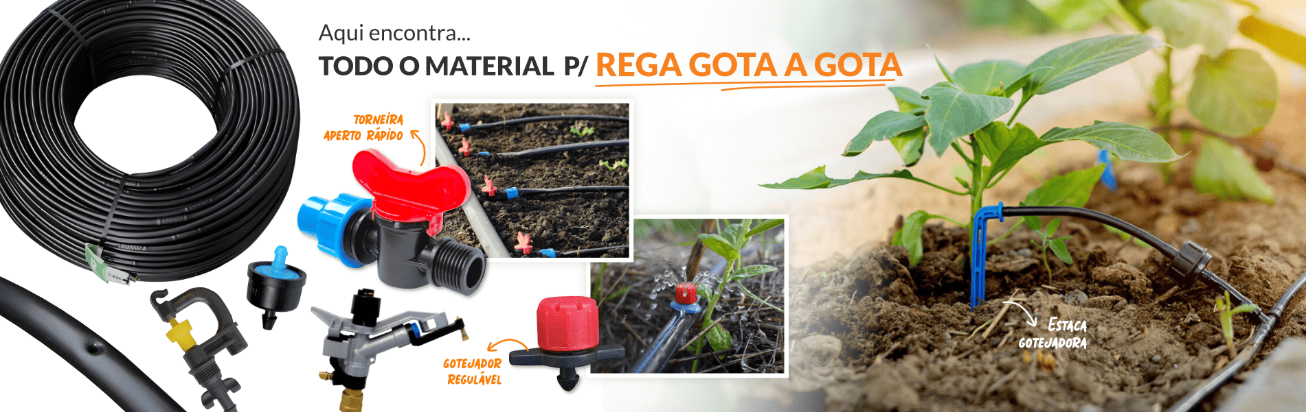 Rega PC